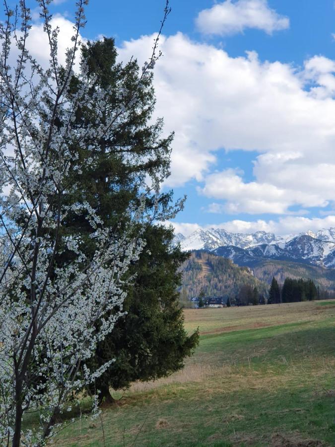 Api IV Zakopane Bed & Breakfast Luaran gambar
